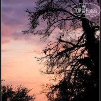 фото из отзыва ID 412363