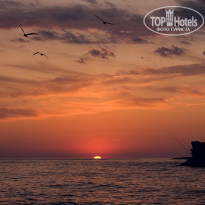 фото из отзыва ID 412363