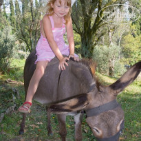 фото из отзыва ID 412363