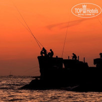 фото из отзыва ID 412363