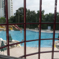 фото из отзыва ID 412561