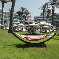 фото из отзыва ID 412571