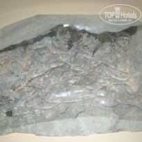 фото из отзыва ID 412741