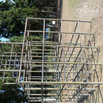 фото из отзыва ID 413675