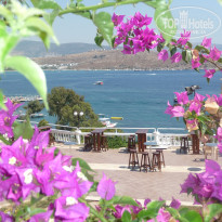 фото из отзыва ID 413750