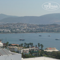 фото из отзыва ID 413750