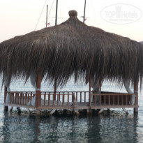 фото из отзыва ID 413750