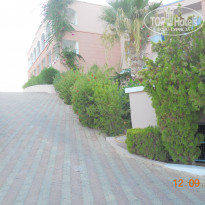 фото из отзыва ID 413049