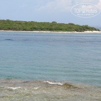 фото из отзыва ID 415612