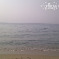 фото из отзыва ID 416158