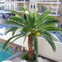 фото из отзыва ID 416201