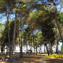 фото из отзыва ID 416566