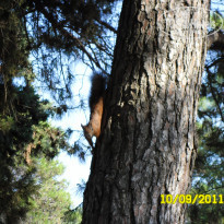 фото из отзыва ID 416566