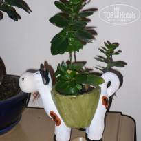 фото из отзыва ID 416671