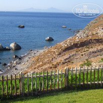 фото из отзыва ID 417468