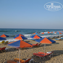 фото из отзыва ID 417523