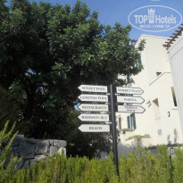 фото из отзыва ID 417606