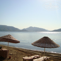 фото из отзыва ID 417608