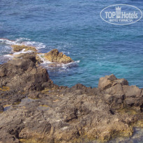 фото из отзыва ID 417632