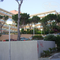 фото из отзыва ID 417646