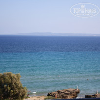 фото из отзыва ID 417666