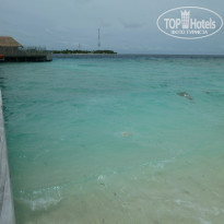 фото из отзыва ID 417753