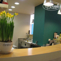 фото из отзыва ID 417757