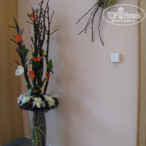 фото из отзыва ID 417757