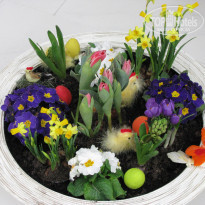 фото из отзыва ID 417757