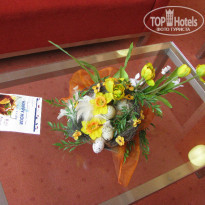 фото из отзыва ID 417757