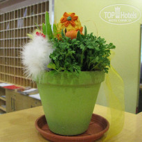 фото из отзыва ID 417757