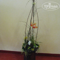 фото из отзыва ID 417757