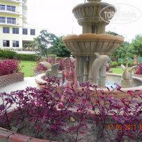 фото из отзыва ID 417917