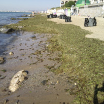 фото из отзыва ID 418202