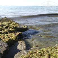 фото из отзыва ID 418202