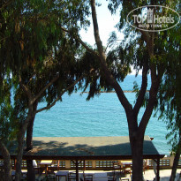 фото из отзыва ID 418211