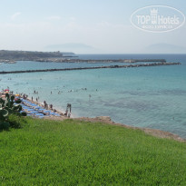 фото из отзыва ID 418702