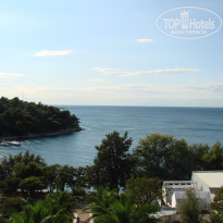 фото из отзыва ID 418723