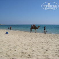 фото из отзыва ID 418934