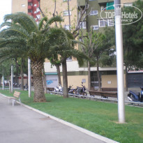 фото из отзыва ID 418239