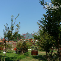 фото из отзыва ID 419345