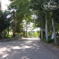 фото из отзыва ID 419384