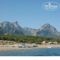 фото из отзыва ID 419485