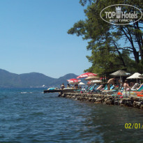 фото из отзыва ID 419507