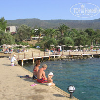 фото из отзыва ID 419721