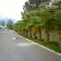 фото из отзыва ID 419848