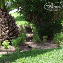 фото из отзыва ID 42087