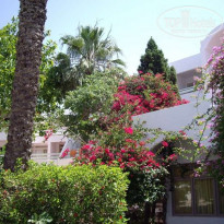 фото из отзыва ID 42094