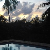 фото из отзыва ID 420458