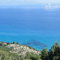 фото из отзыва ID 420557